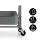 Vegetable trolley Kinvara Grey Steel Plastic 29,5 x 78,5 x 45,5 cm