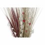 Branche DKD Home Decor 8424001847471 Fleurs Naturel Rouge Marron Fleur séchée (40 x 40 x 150 cm) (2 Unités)