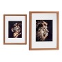 Cadre Gift Decor Bronze verre Contre-plaqué Tigre Lion 33 x 3 x 43 cm 33 x 43 x 3 cm