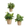 Set de pots Ibergarden Beige Argile 16,5 x 16 x 16,5 cm (6 Unités)