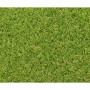 Gazon artificiel Exelgreen Campus 2D 1 x 5 m 25 mm