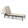 Chaise longue Algon Allibert Marron 187 x 58 x 29 cm