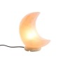 Lampe de bureau DKD Home Decor Rose Sel Acacia 15 W 220 V 20 x 10 x 23 cm