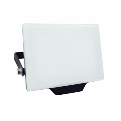 Floodlight/Projector Light Silver Electronics 173302 Black G 20 W (Cool White)