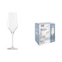 Champagne glass Inde Passion 250 ml 6 Pieces