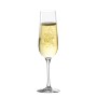 Champagne glass Inde Sensation Ø 5 cm 220 ml 6 Pieces