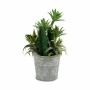 Decorative Plant Ibergarden Plastic Cement 15 x 24 x 15 cm (12 Units)