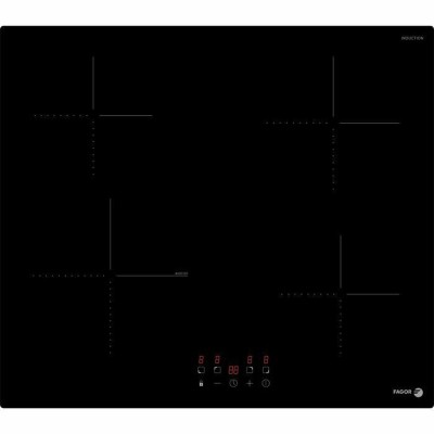 Induction Hot Plate Fagor