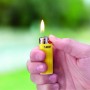 Lighter Bic mini j25 Multicolour 50 Units