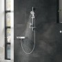 Shower Rose Grohe Grey Chrome Metal