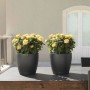 Plant pot Lechuza Grey polypropylene Circular
