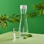 Filter bottle LAICA 1 L Transparent