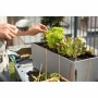 Self-watering planter Lechuza Grey 50 x 19 x 19 cm polypropylene Rectangular