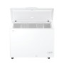 Freezer Haier CCHH3012E   111