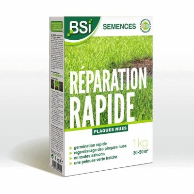 Graines BSI Reparación Rápida 1 kg