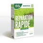 Graines BSI Reparación Rápida 1 kg