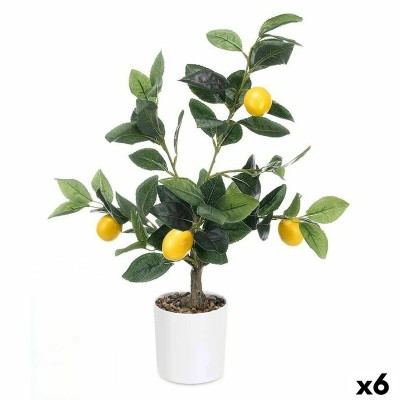Plante décorative Ibergarden Mousse Polyéthylène Mélamine Citronnier 40 x 58 x 38 cm (6 Unités)