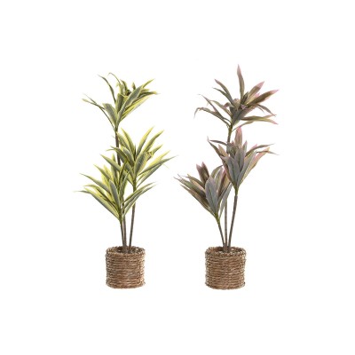 Plante décorative Home ESPRIT Polyéthylène Fibre 30 x 30 x 75 cm (2 Unités)