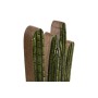 Figurine Décorative Home ESPRIT Vert Naturel Cactus Tropical 13 X 5 X 25,5 CM