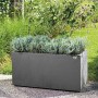 Jardinière auto-arrosante Deroma Anthracite 79 cm Plastique Rectangulaire