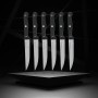 Knife Set Nirosta Stainless steel 6 Pieces