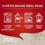 Café en grains Lavazza 2013