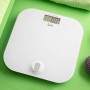 Balance Numérique de Salle de Bain JATA HBAS1907 Blanc Verre trempé 150 kg 180 kg