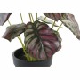 Decorative Plant DKD Home Decor Pink Green PE (10 x 10 x 27 cm)