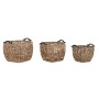 Basket set DKD Home Decor Natural Wood Natural Fibre (3 Pieces)