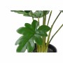 Decorative Plant DKD Home Decor Green PE (20 x 20 x 40 cm)