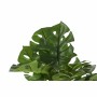 Decorative Plant DKD Home Decor Monstera Green PP PE (48 x 42 x 51 cm)