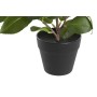 Plante décorative DKD Home Decor Vert PP PE Ficus (2 Unités) (21 x 18 x 30 cm)