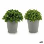 Plante décorative Ibergarden Plastique 13 x 17 x 13 cm 14 x 16 x 14 cm (12 Unités)