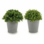 Decorative Plant Ibergarden Plastic 13 x 17 x 13 cm 14 x 16 x 14 cm (12 Units)