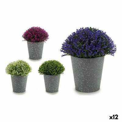 Plante décorative Ibergarden Plastique 14 x 15 x 14 cm 14 x 16 x 14 cm (12 Unités)
