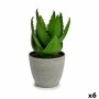 Decorative Plant Ibergarden Plastic Aloe Vera 15 x 23,5 x 15 cm (6 Units)