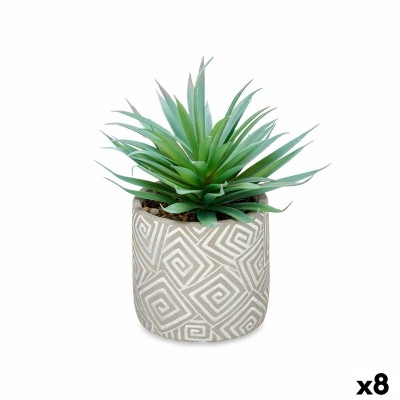 Plante décorative Ibergarden Bois Polyéthylène Plastique Ciment Succulent 17 x 21 x 17 cm (8 Unités)