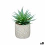 Plante décorative Ibergarden Bois Polyéthylène Plastique Ciment Succulent 17 x 21 x 17 cm (8 Unités)
