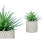 Plante décorative Ibergarden Bois Polyéthylène Plastique Ciment Succulent 17 x 21 x 17 cm (8 Unités)