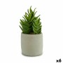 Plante décorative Ibergarden Plastique Succulent 12 x 24 x 12 cm (6 Unités)
