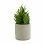 Decorative Plant Ibergarden Plastic Succulent 12 x 24 x 12 cm (6 Units)