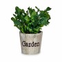 Plante décorative Ibergarden Plastique 16 x 22 x 16 cm (12 Unités)
