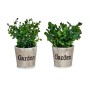 Decorative Plant Ibergarden Plastic 16 x 22 x 16 cm (12 Units)