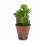 Plante décorative Ibergarden Plastique Succulent 16 x 23 x 16 cm (12 Unités)
