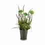Decorative Plant Ibergarden Metal Plastic Lavendar 13 x 40 x 13 cm (12 Units)