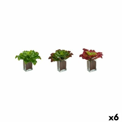 Plante décorative Ibergarden Plastique Volets Grand 31 x 24 x 31 cm Bicolore (6 Unités)