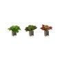 Plante décorative Ibergarden Plastique Volets Grand 31 x 24 x 31 cm Bicolore (6 Unités)