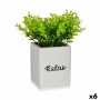 Plante décorative Ibergarden Plastique Ciment Volets Petit 13 x 18 x 13 cm (6 Unités)
