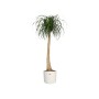 Plant pot Elho White Green Plastic 30 x 30 x 28 cm