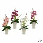 Fleur décorative Ibergarden Orchidée 14 x 35 x 8 cm (12 Unités)